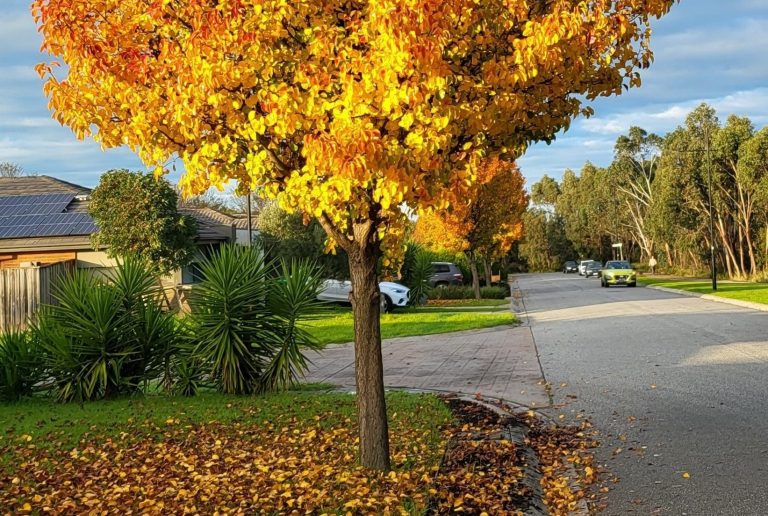 Homes for sale Pakenham
