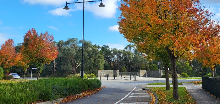 Melbournes cold winter